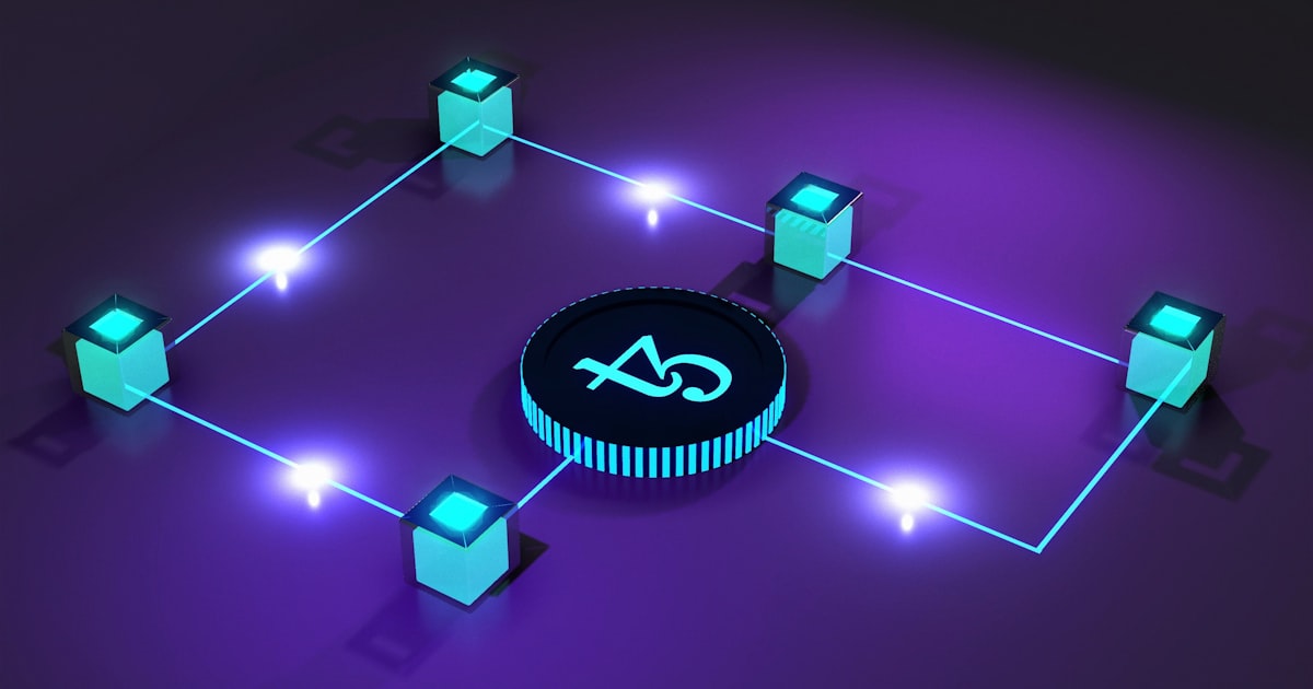 Server and API data exchange